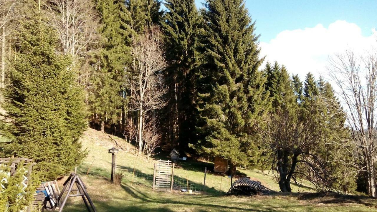 Gaestehaus Fridolin Krieglach Buitenkant foto